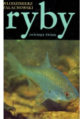 Ryby zwierzęta świata