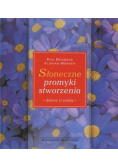 Słoneczne promyki stworzenia