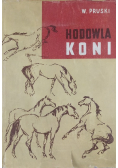 Hodowla koni