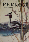 Perkoz dwuczubny