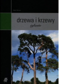 Drzewa i krzewy iglaste