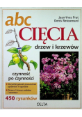 ABC cięcia drzew i krzewów