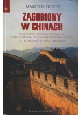 Zagubiony w Chinach