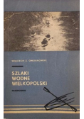 Szlaki wodne wielkopolskie