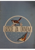 Goście za oknem