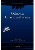 Odnowa Charyzmatyczna I Dokument z Malines