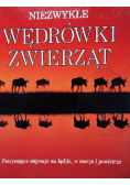 Niezwykłe wędrówki zwierząt