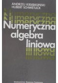 Numeryczna algebra liniowa