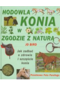 Hodowla konia w zgodzie z naturą