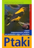 Przewodnik ptaki