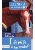 Klinika pod Boliłapką Lawa w tarapatach