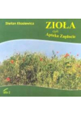Zioła czyli Apteka Zapłocie