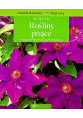 Rośliny pnące