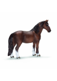 Klacz rasy Tennessee Walker