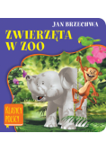 Zwierzęta w zoo