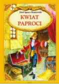 Kwiat paproci