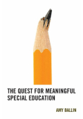 The Quest for Meaningful Special Education