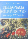 Pielęgnacja roślin pokojowych-początku XXI wieku