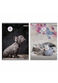 Zeszyt A4/60K kratka The Sweet Pets (5szt)