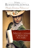Klasyka Literatury Kobiecej Tom 1 Między ustami a brzegiem pucharu Wydanie kieszonkowe