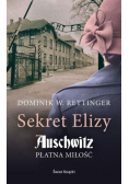 Sekrety Elizy Płatna miłość