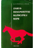 Zarys diagnostyki klinicznej koni