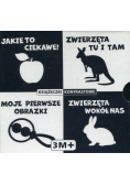 Kontrastowe książeczki Box 3m+
