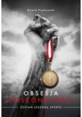 Obsesja doskonałości