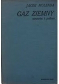 Gaz ziemny surowiec i paliwo