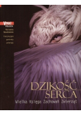 Dzikość serca
