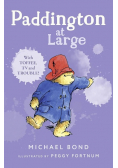 Paddington at Large