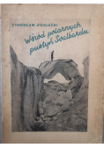 Wśród polarnych pustyń Svalbardu 1935 r.