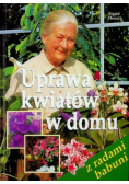 Uprawa kwiatów w domu