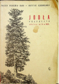 Jodła pospolita