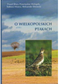 O wielkopolskich ptakach