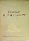 Krajowe ślimaki i małże