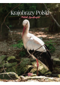 Kalendarz 2025 ścienny mały na spirali Krajobrazy Polski KSMS-1