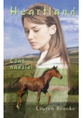 Heartland 17 Czas nadziei