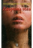 Zdeptana róża