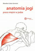 Anatomia jogi