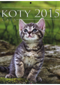 Kalendarz 2015 Koty
