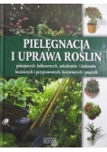 Pielęgnacja i uprawa roślin