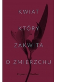 Kwiat, który zakwita o zmierzchu