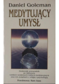 Medytujący Umysł