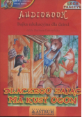Dlaczego zając ma kusy ogon