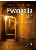 Ewangelia 2019. Droga, Prawda i Życie mała BR