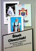 Śląsk Cieszyński