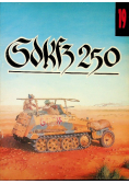 Sd Kfz 250 Nr 19