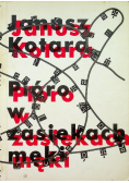 Pióro w zasiekach męki