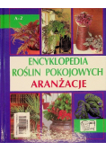 Encyklopedia roślin pokojowych Aranżacje